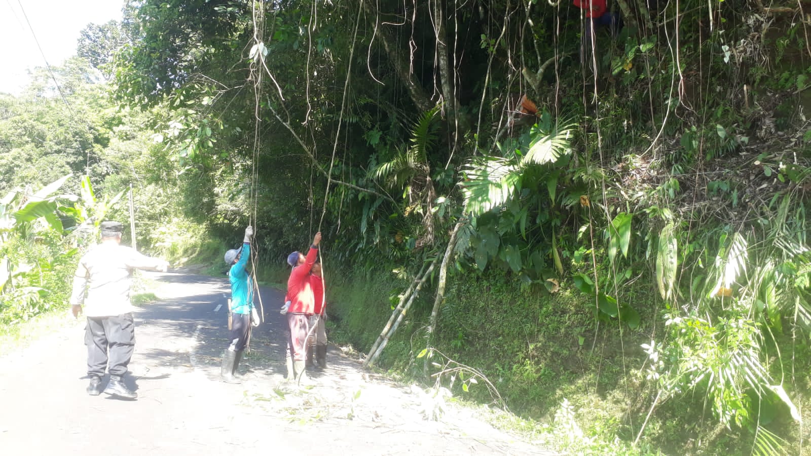 IMG-20230315-WA0185