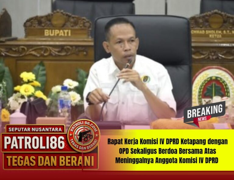IMG_20260129_151002.jpg